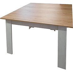 Photo - Dining table «Parma» P050.501