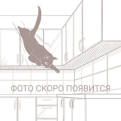 Кухня «Сиена»