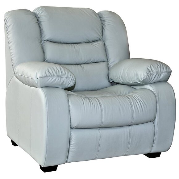 Кресло «Манчестер 1» (12), Материал: натуральная кожа, Группа ткани: 120 группа