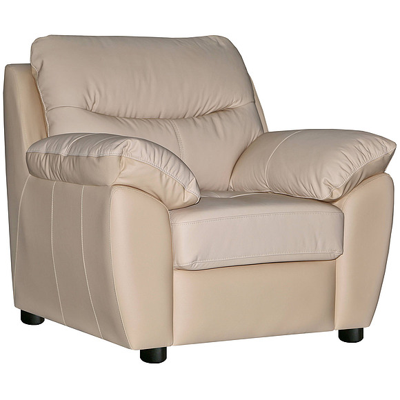 Кресло «Плаза» (12), Материал: натуральная кожа, Группа ткани: 115 группа, Механизм трансформации: без механизма