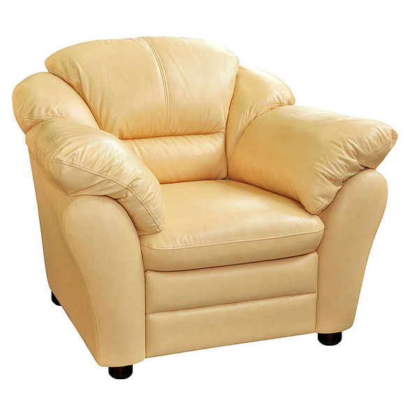 Кресло «Сенатор» (12), Материал: натуральная кожа, Группа ткани: 120 группа, Механизм трансформации: без механизма