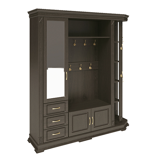 Шкаф комбинированный для прихожей «Верди Люкс 2» П433.02, Цвет: Венге