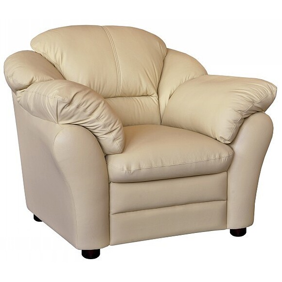 Кресло «Сенатор» (12), Материал: натуральная кожа, Группа ткани: 120 группа, Механизм трансформации: без механизма