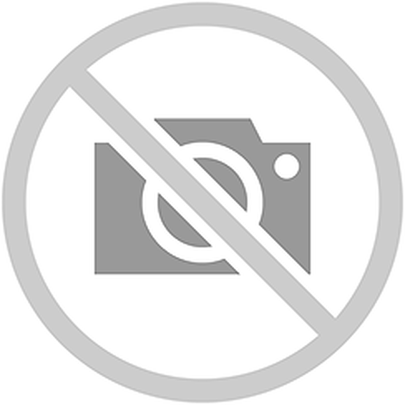 2-х местный диван «Консул 23» (2м)