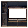 Combined cabinet «Blackwood» P556.08, Color: Wotan oak + black