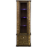 Showcase «Tunis» P343.19SH, Color: venge+gold