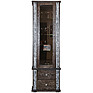 Showcase «Tunis» P343.19SH, Color: Wenge + silver