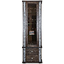 Showcase «Tunis» P343.19-1SH, Color: Wenge + silver