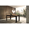 Dining table «Blackwood» P556.12, Color: Wotan oak + black